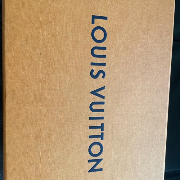 Louis Vuitton Sandals - Picture 1 of 4